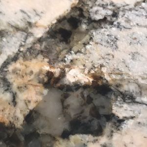 Meet your Posher, Ryanne